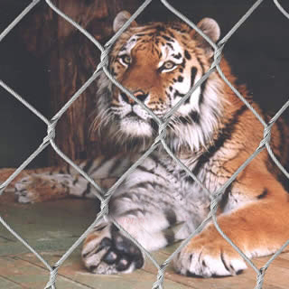 Tiger enclosure Mesh